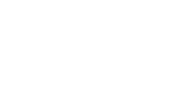 Festival Formula