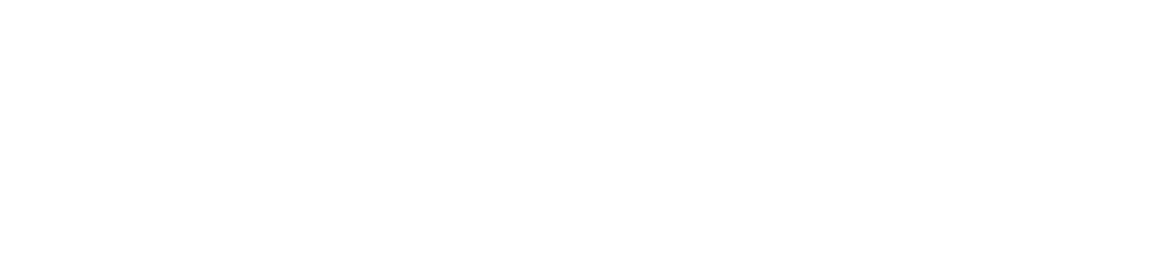 Raindance