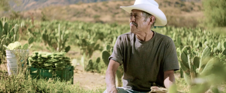 San Esteban: Freedom, Mysticism and Nopales