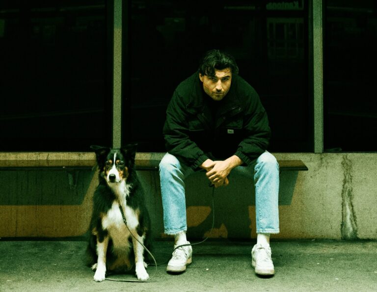 Stray Dog