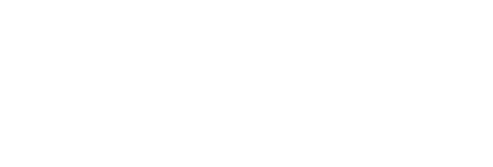 Wordmark, white